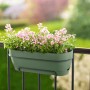 Grüner Elho Balkonkasten Vibia Campana 50 cm mit rosa Blumen am Balkongeländer.