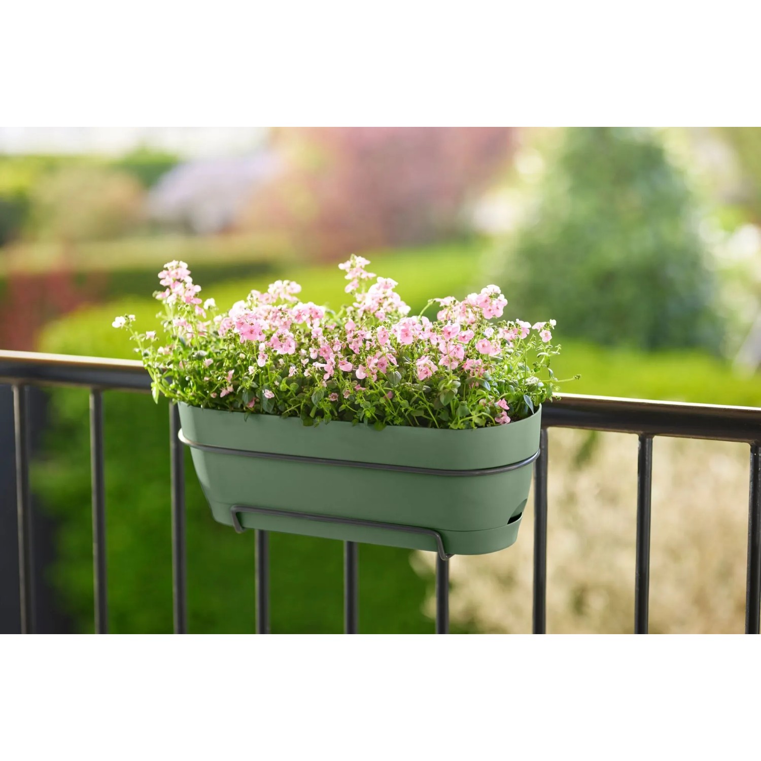 Grüner Elho Balkonkasten Vibia Campana 50 cm mit rosa Blumen am Balkongeländer.