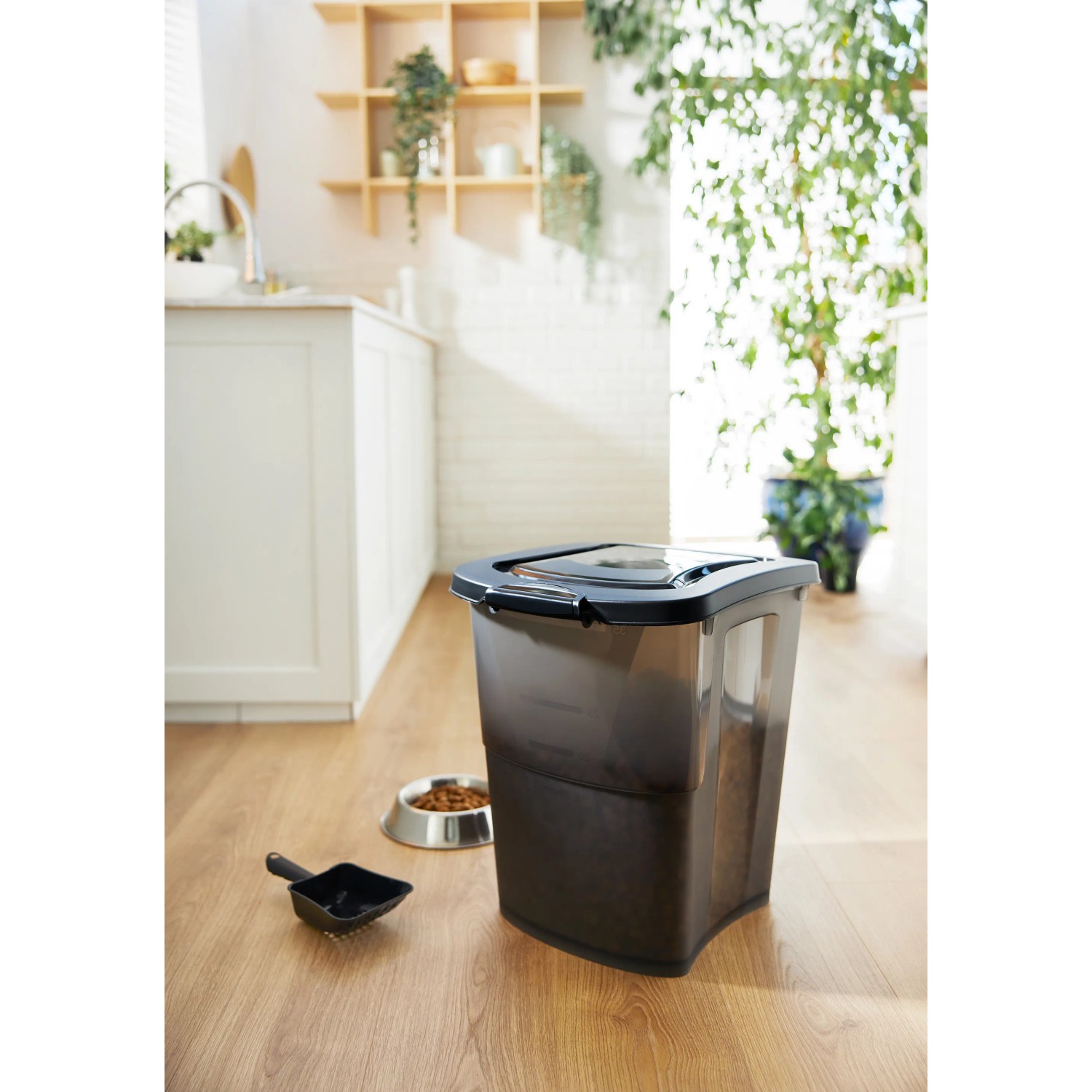 Rotho Tierfutterbehälter Archie 38, Transparent/Grau