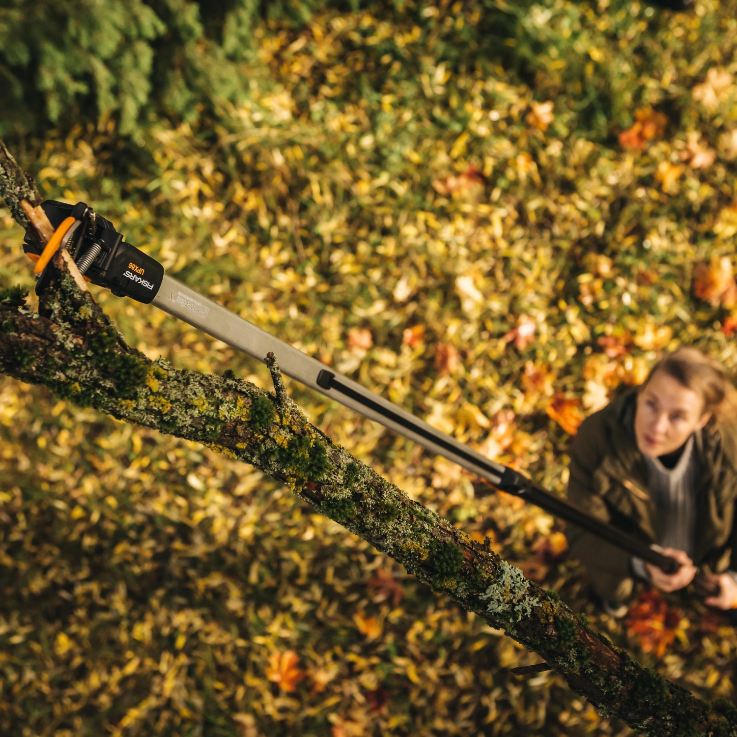 Fiskars Schneidgiraffe UPX86 beim Schneiden eines Astes, Frau im Hintergrund. Gartenschere mit Teleskopstiel.