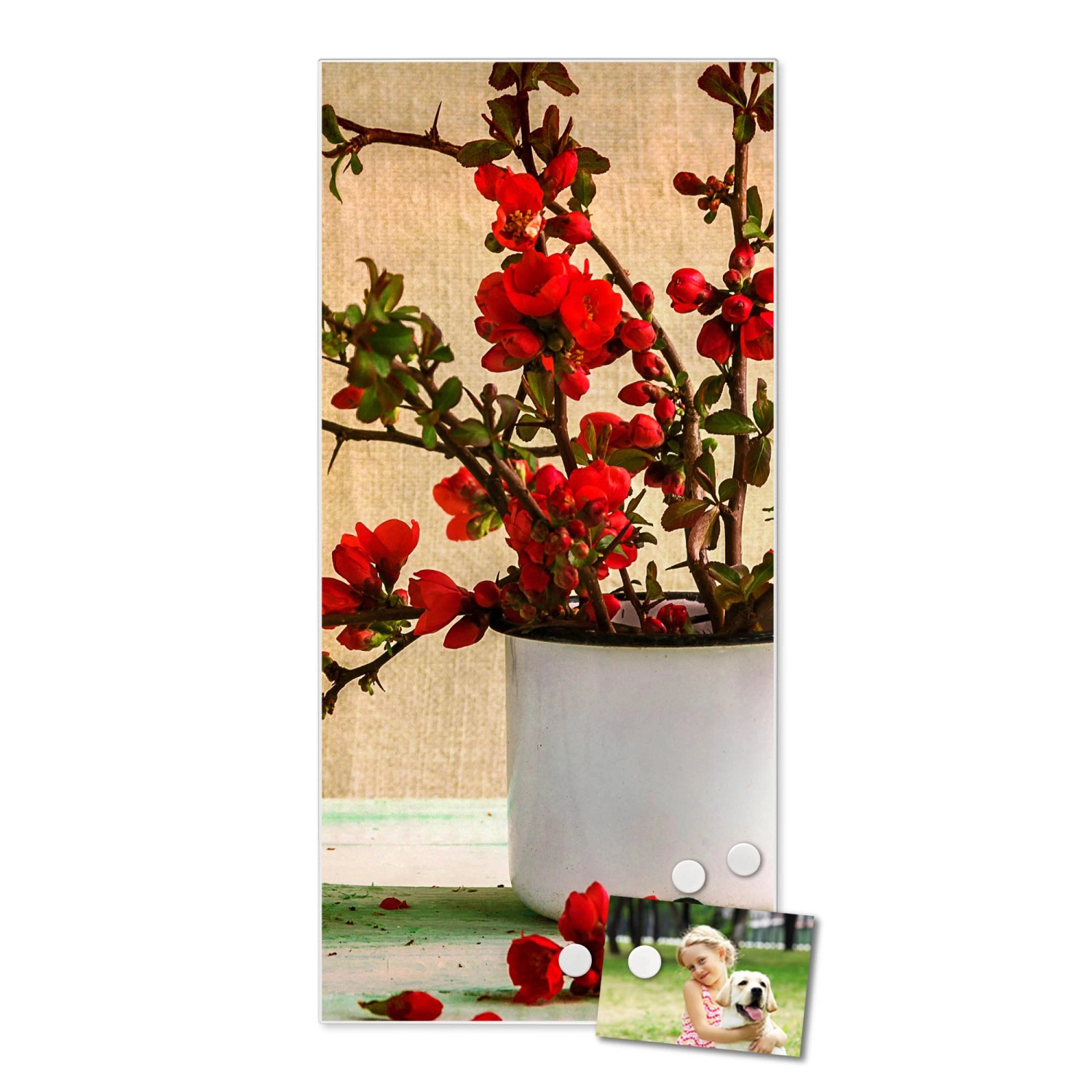 Banjado Magnettafel 37x78cm mit Berberitzen-Motiv, inklusive Magnete. Wanddekoration für Notizen und Fotos.