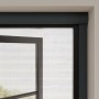Cocoon Insektenschutzrollo mit Kassette in Anthrazit am Fensterrahmen.