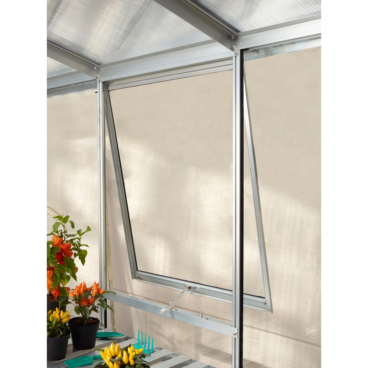 Vitavia Seitenfenster V mit ESG Glas und Alu Rahmen im Gewächshaus geöffnet.