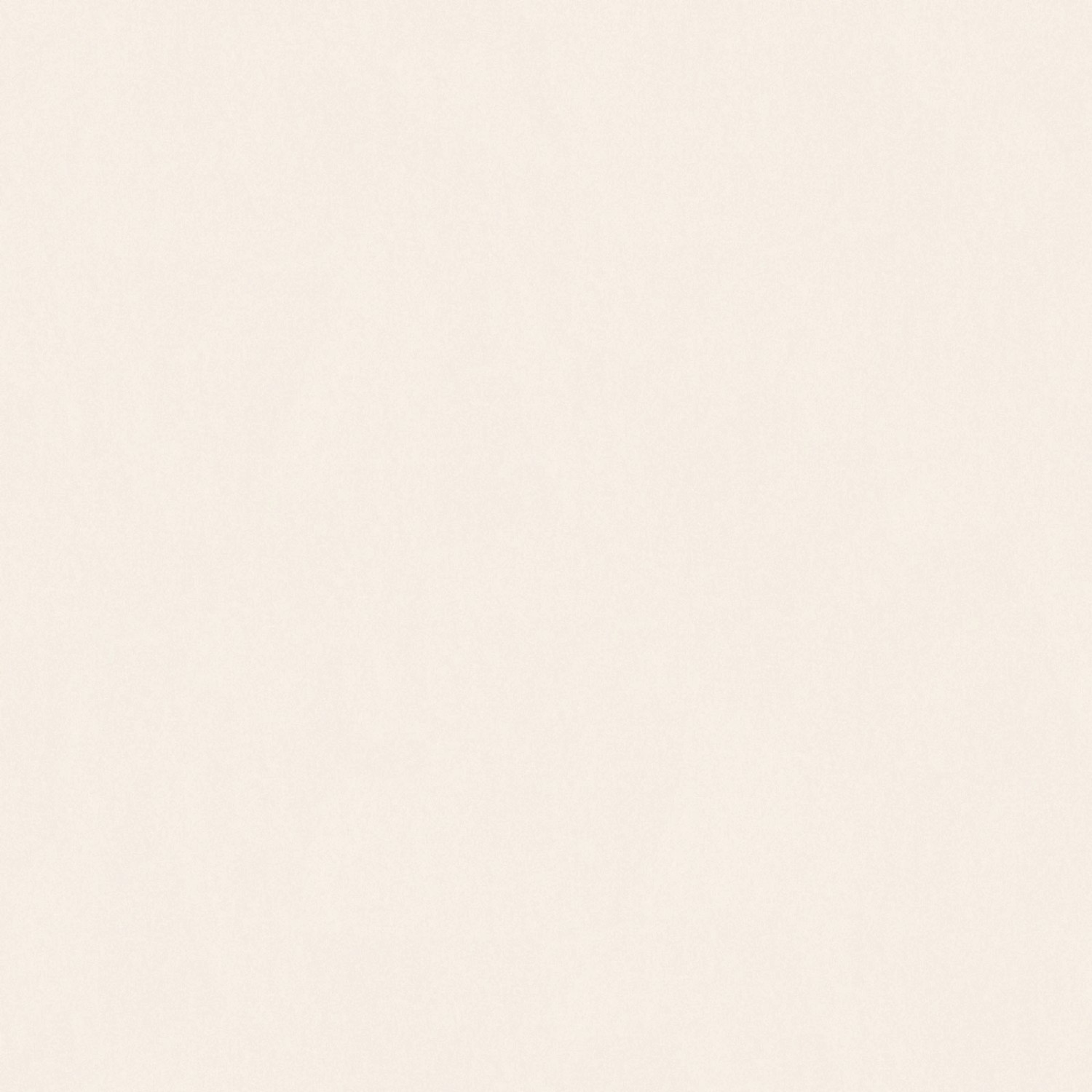 Bricoflor Vliestapete in Creme Weiß Schlichte Flur und Schlafzimmer Tapete Einfarbig Weiße Wandtapete mit Vinyl in Hellem Cremeton
