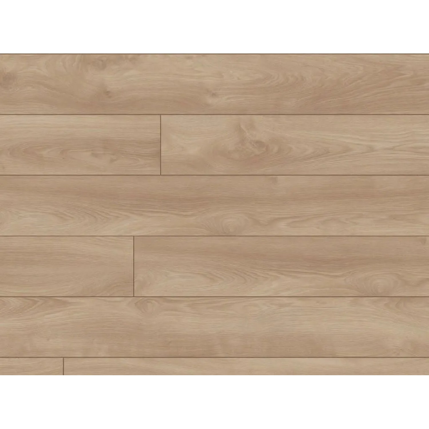 Kronotex Laminat Makro Eiche Hell D4752 Mammut Plus Landhausdiele