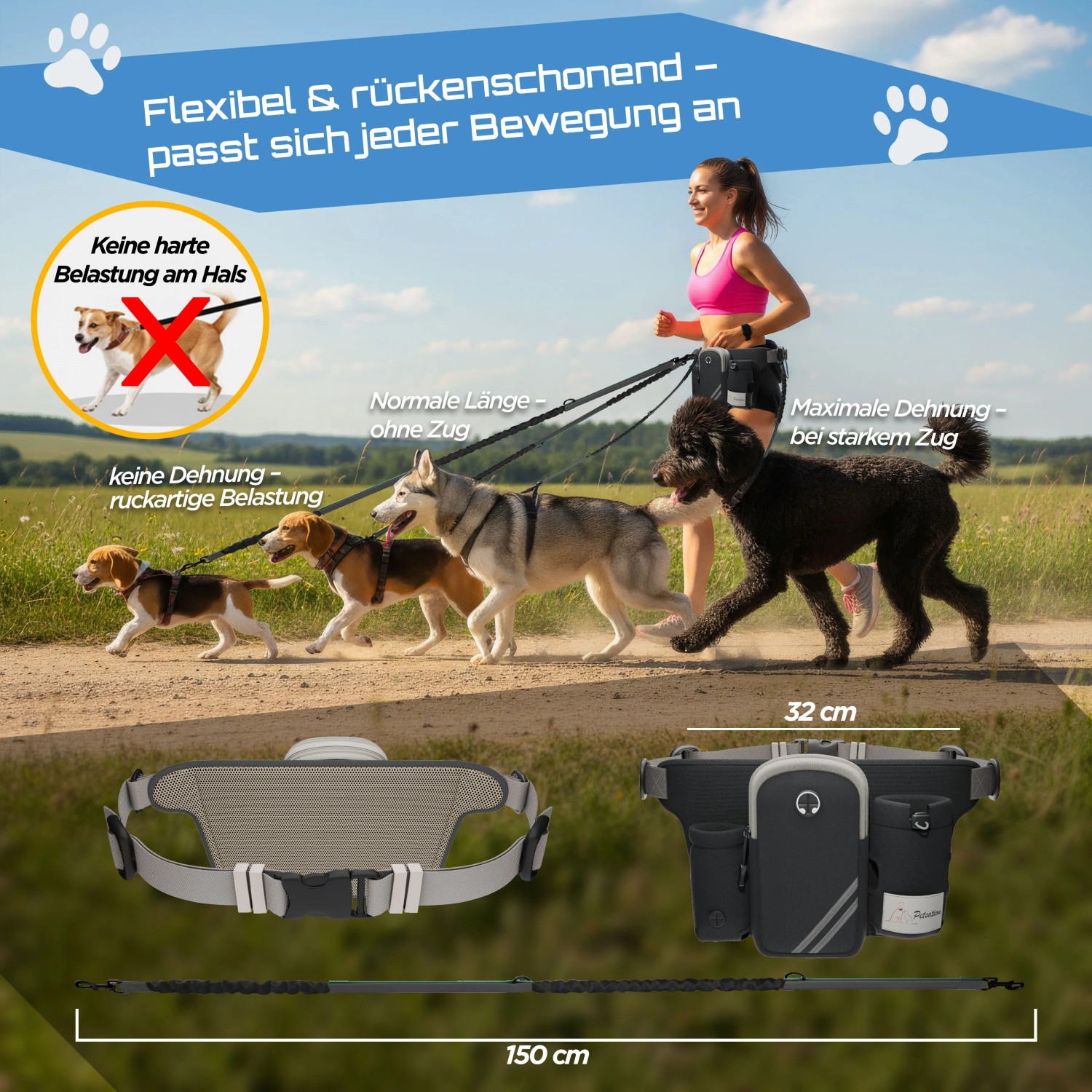 Petsation Joggingleine mit Bauchgurt und Rückdämpfer für Hunde, mit Tasche und verstellbarer Leine.