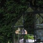 Halls Gewächshaus Icon 6, schwarzes Garten-Gewächshaus mit Glas, 4,9 m² Fläche.