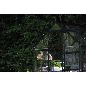 Schwarzes Halls Gewächshaus Icon 6 (6,1 m²) mit Dekorationen im Garten.