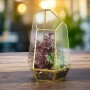 Relaxdays Pflanzenterrarium Glas Kupfer Schwarz 26 cm x 18 cm x 15 cm 0,8 kg_3