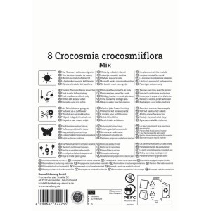 Kiepenkerl Crocosmia kleinblumige Mischung Blumenzwiebeln, Packung.