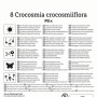 Kiepenkerl Crocosmia kleinblumige Mischung Blumenzwiebeln, Packung.