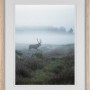 MDF-Bilderrahmen Eiche gekälkt 40x50 cm mit Hirsch-Motiv im Nebel.
