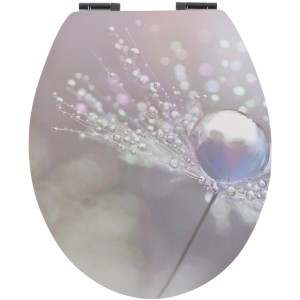 Sanitop-Wingenroth WC-Sitz Dekor Taunass mit Pusteblumen-Motiv und Wassertropfen.