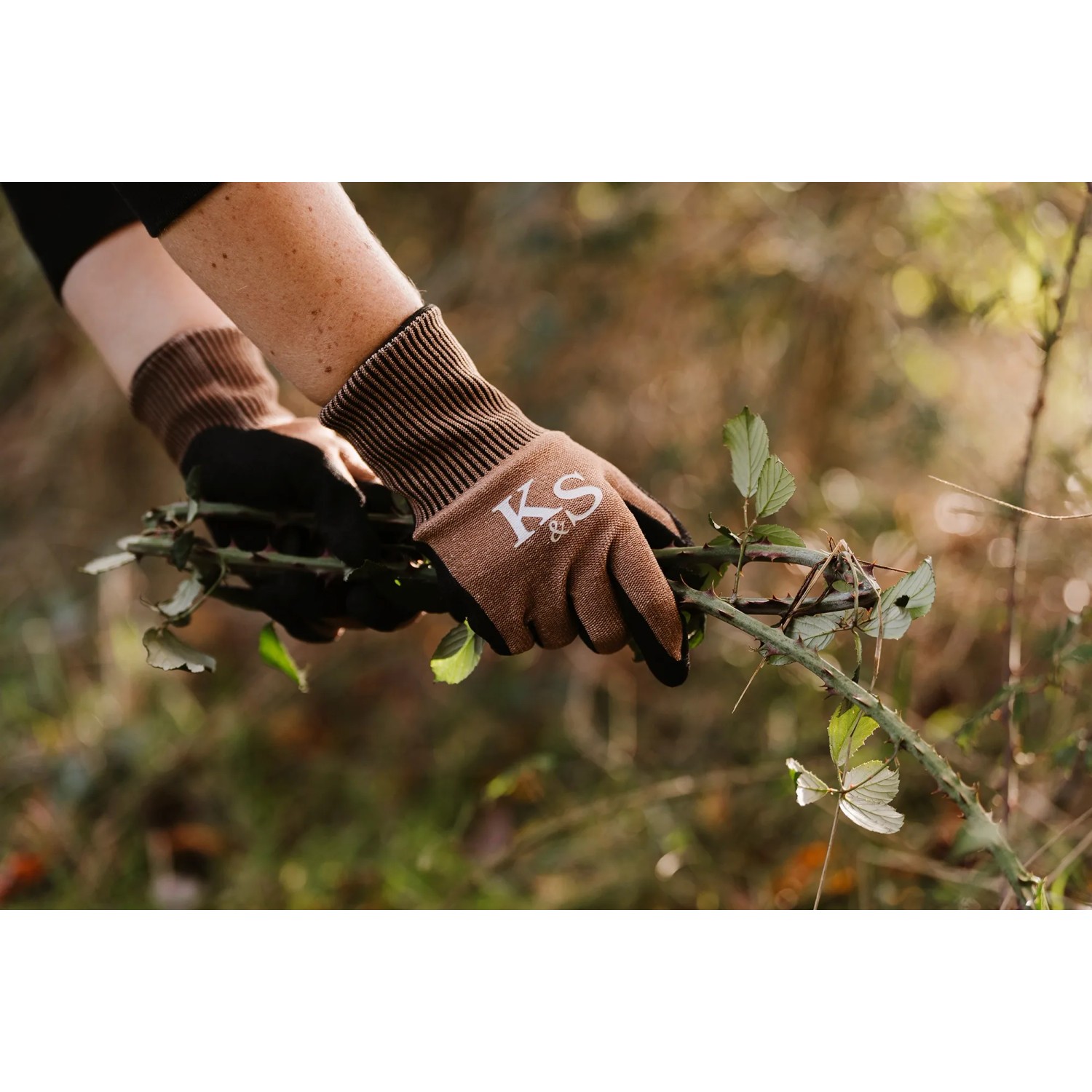 Kent & Stowe Gartenhandschuhe Sure & Grip, braun-schwarz, Größe L beim Schneiden einer Pflanze.