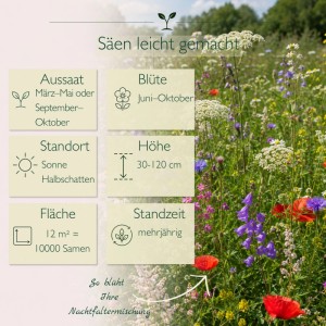 LaCaTho Nachtfalter Mischung: Bunte Wildblumenwiese mit roten, blauen Blüten. Infos zu Aussaat, Blütezeit, Höhe der Blumensamen.
