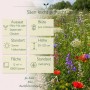 LaCaTho Nachtfalter Mischung: Bunte Wildblumenwiese mit roten, blauen Blüten. Infos zu Aussaat, Blütezeit, Höhe der Blumensamen.