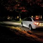 Szene mit Mr. Beams LED-Außenwandleuchte am Baum, die ein parkendes Auto beleuchtet.