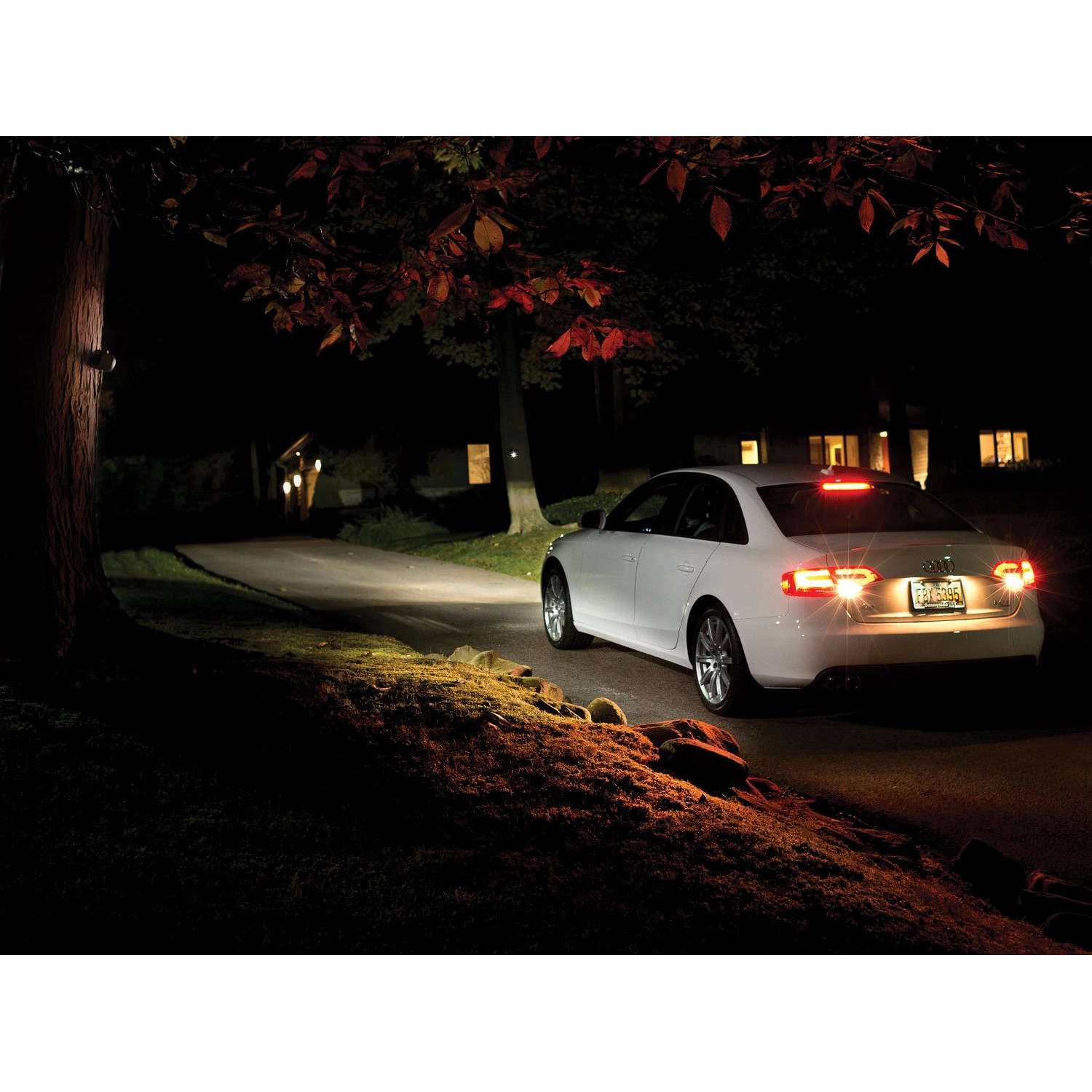 Szene mit Mr. Beams LED-Außenwandleuchte am Baum, die ein parkendes Auto beleuchtet.