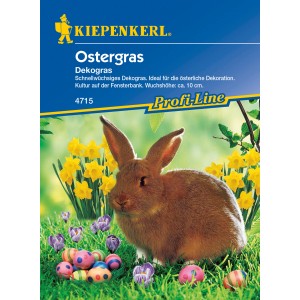 Kiepenkerl Ostergras Grün mit Osterhase, Narzissen und Ostereiern im Gras.