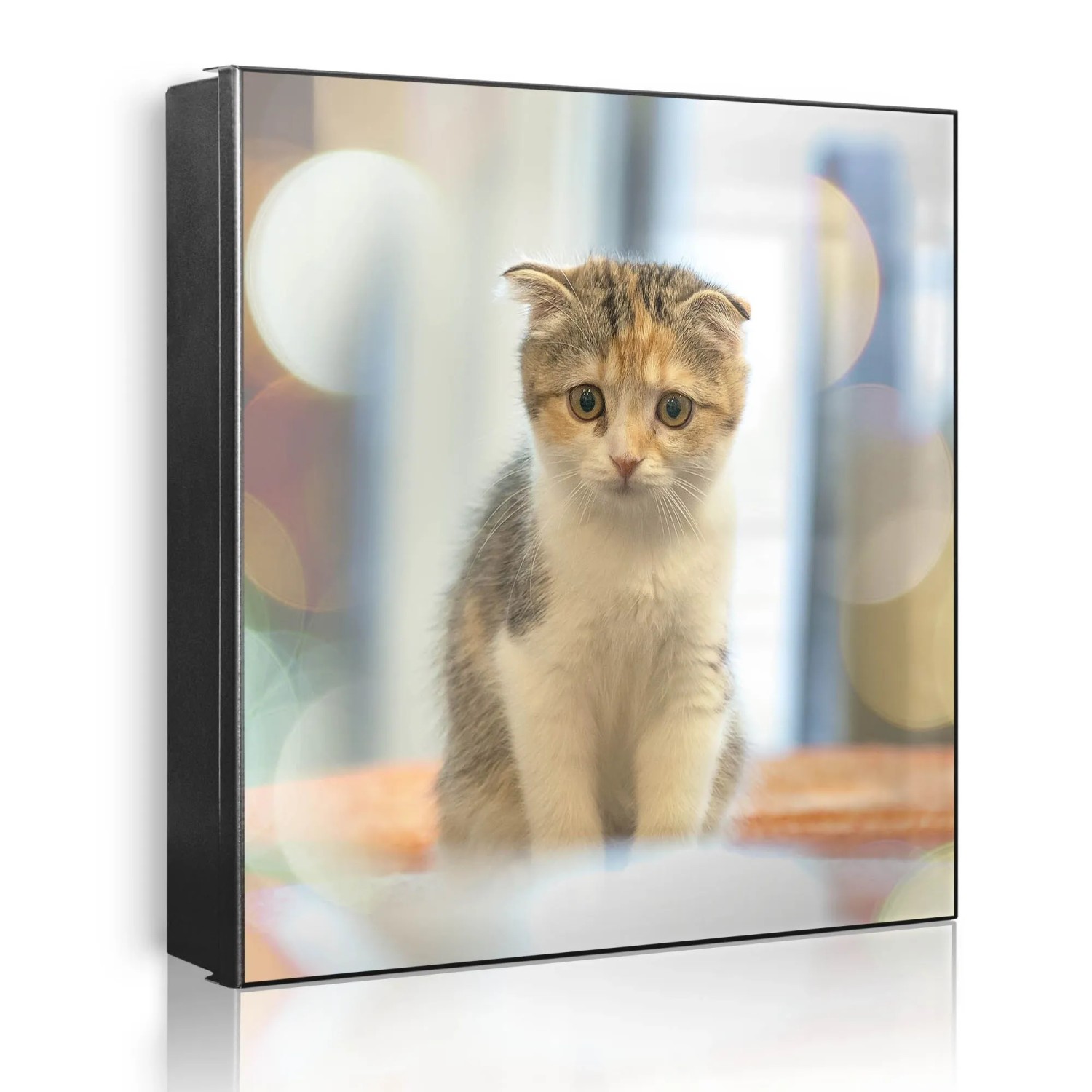 Banjado Großer Schlüsselkasten Metall 30x30cm Schwarz Scharnier Links 50 Haken Beschreibbar Magnetisch Motiv Kleine Katze