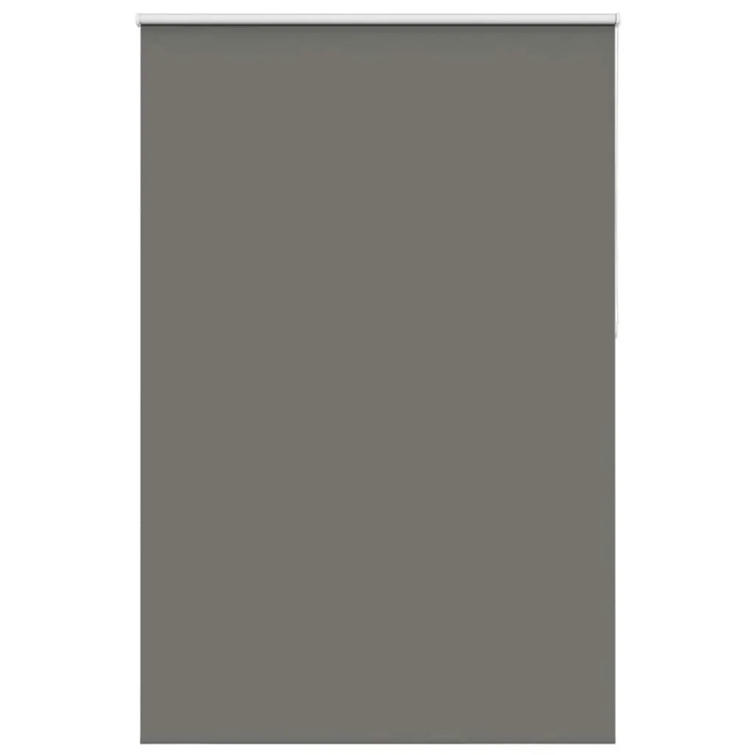 vidaXL Verdunkelungsrollo Grau 160x210cm Stoffbreite 156,6cm Polyester 4011 günstig online kaufen