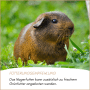 Supravit Nagerfutter und Kleintierfutter_5