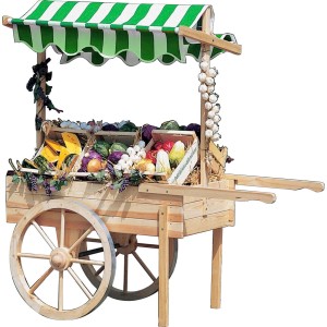 Promadino Marktwagen aus Kiefernholz mit weiß-grünem Baldachin, gefüllt mit Gemüse und Obst.
