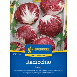 Kiepenkerl Radicchio Indigo Profi-Line F1-Hybrid Samensorte mit dunkelroten Köpfen.