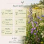 LaCaTho Fledermausmischung Samen: Blühendes Wildblumenfeld mit blauen, lila, weißen Blüten. Infos zu Aussaat, Blüte, Standort, Wuchshöhe.