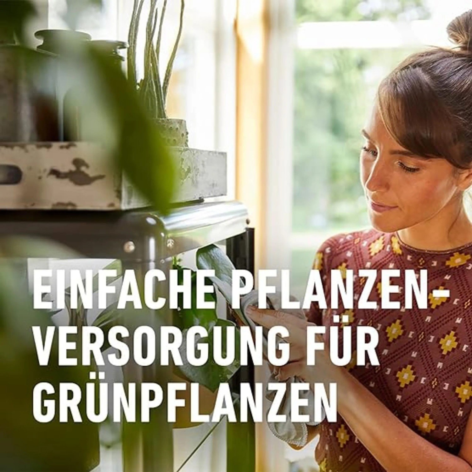 Frau düngt Grünpflanze mit Compo Düngestäbchen mit Guano.