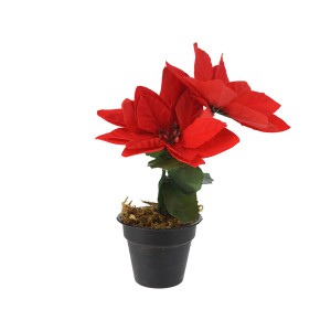 Rote Weihnachtsblume im schwarzen Topf, Kunstpflanze, 24x13x17cm.