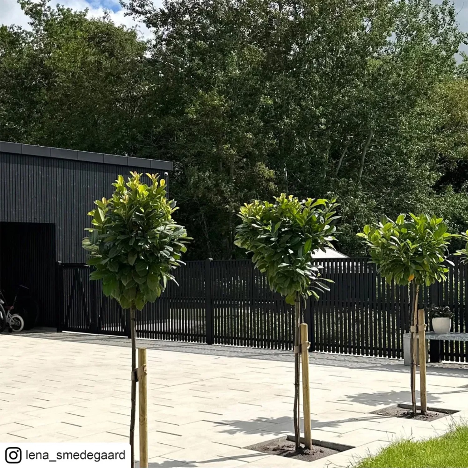 Schwarzes Nadelholz Gartentor Sendai, 100x140cm, Teil einer Zaunserie im japanischen Stil.