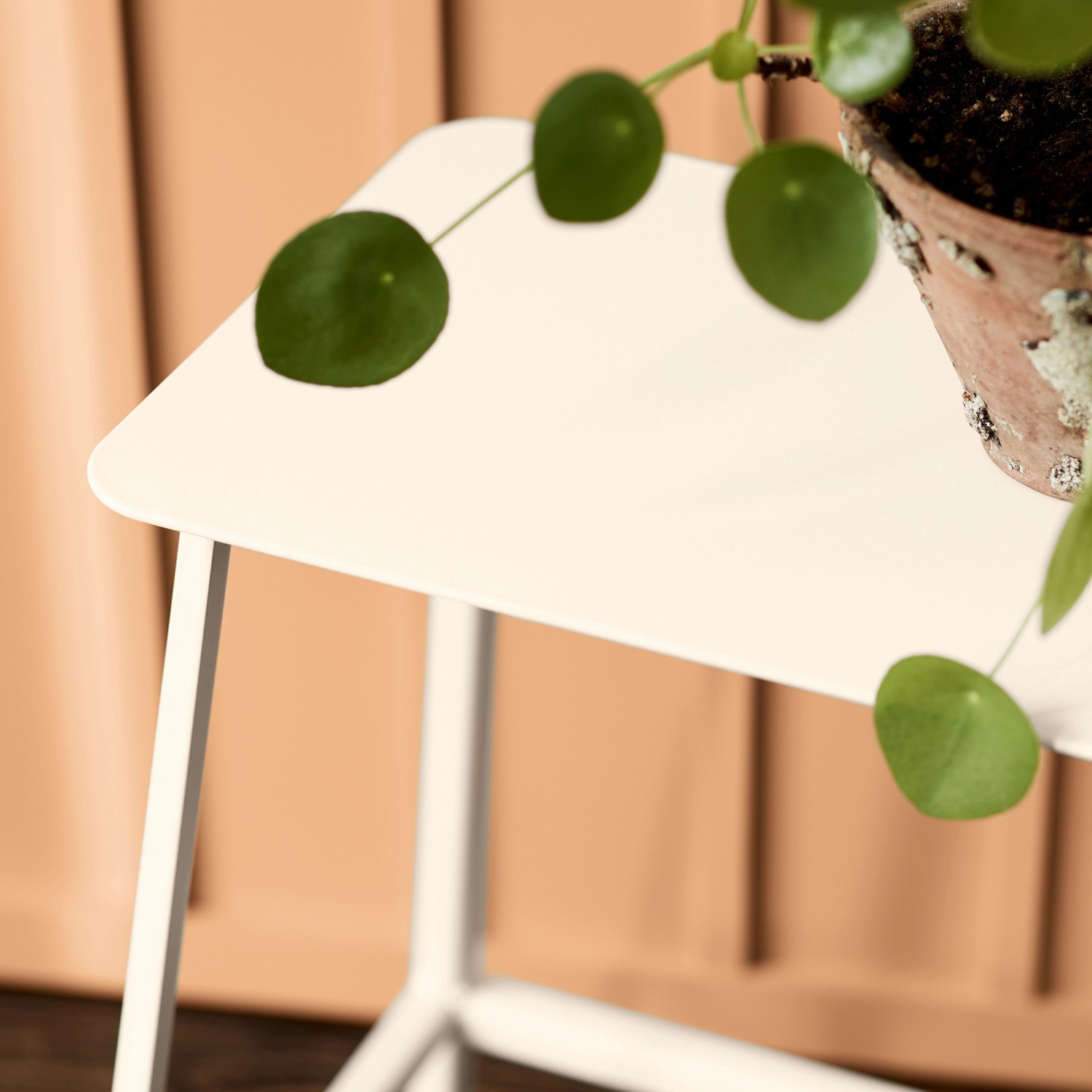 Alpina Feine Farben Lack No. 36 Tochter der Antike® Weiß, edelmatt auf einem Beistelltisch mit Pflanze.