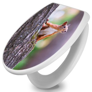 Weißer WC-Sitz mit Absenkautomatik und Eichhörnchen Motiv auf Baumstamm.