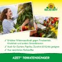Anwendung von Neudorff Azet Tomatendünger an Tomatenpflanzen für reiche Ernte.