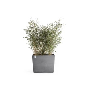 Grauer, rechteckiger Ecopots Pflanzkübel Paris mit Rollen, Stein-Optik und grüner Bepflanzung. Für Terrasse & Balkon.