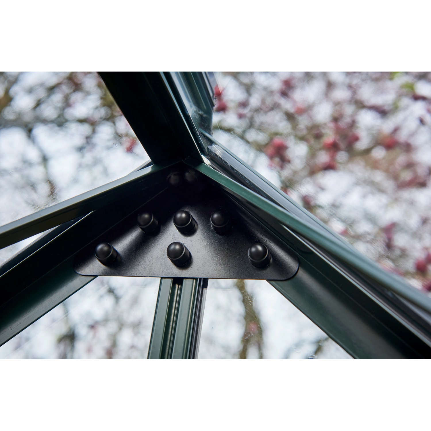 Detailaufnahme: Grüne Ecke des Halls Gewächshaus GardenRoom mit Schrauben.