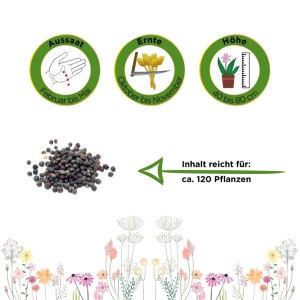 Rotkohl Roodkop Gemüsesamen: Haufen dunkler Samen, Icons für Aussaat, Ernte, Wuchshöhe 40-80cm. Reicht für 120 Pflanzen.
