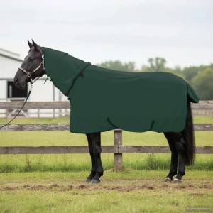 vidaXL Pferdedecke Dunkelgrün Polyester 42013284