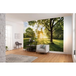 Komar Fototapete Golden Moment mit sonnigem Waldmotiv im Wohnraum.