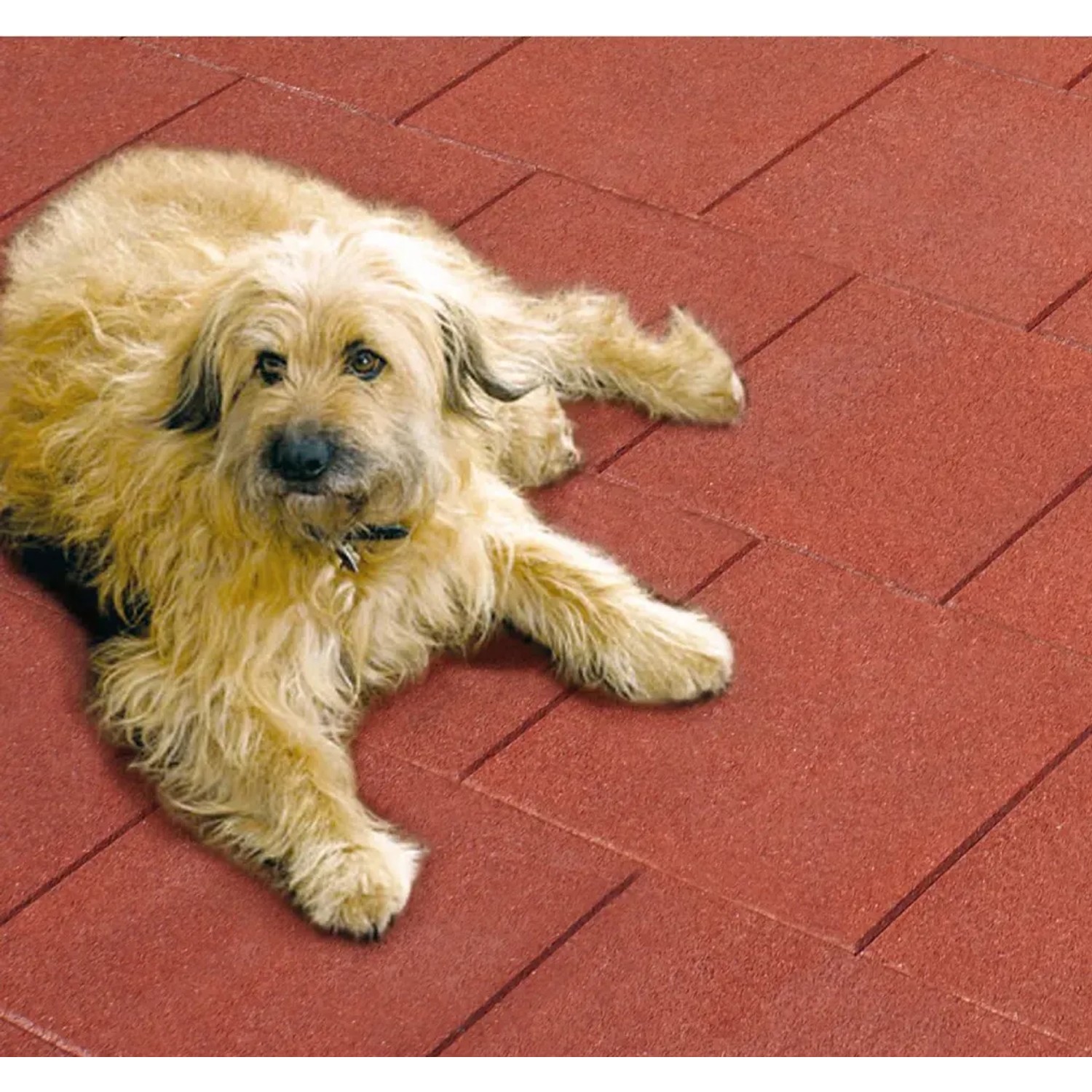 Rotbraune Fallschutzplatte/Elastikmatte 50x50x3 cm mit Hund darauf.