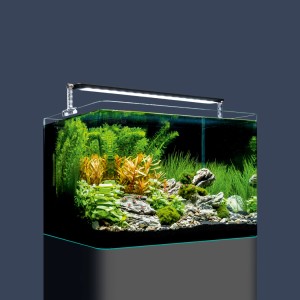 Dennerle Nano Tank Pro 35 l Aquarium Set mit LED-Beleuchtung und Pflanzen.