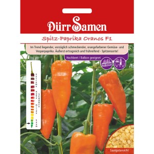 Dürr Samen Spitzpaprika Oranos F1: Orange Paprika auf der Pflanze, Gemüsesamen für Beet und Balkon.