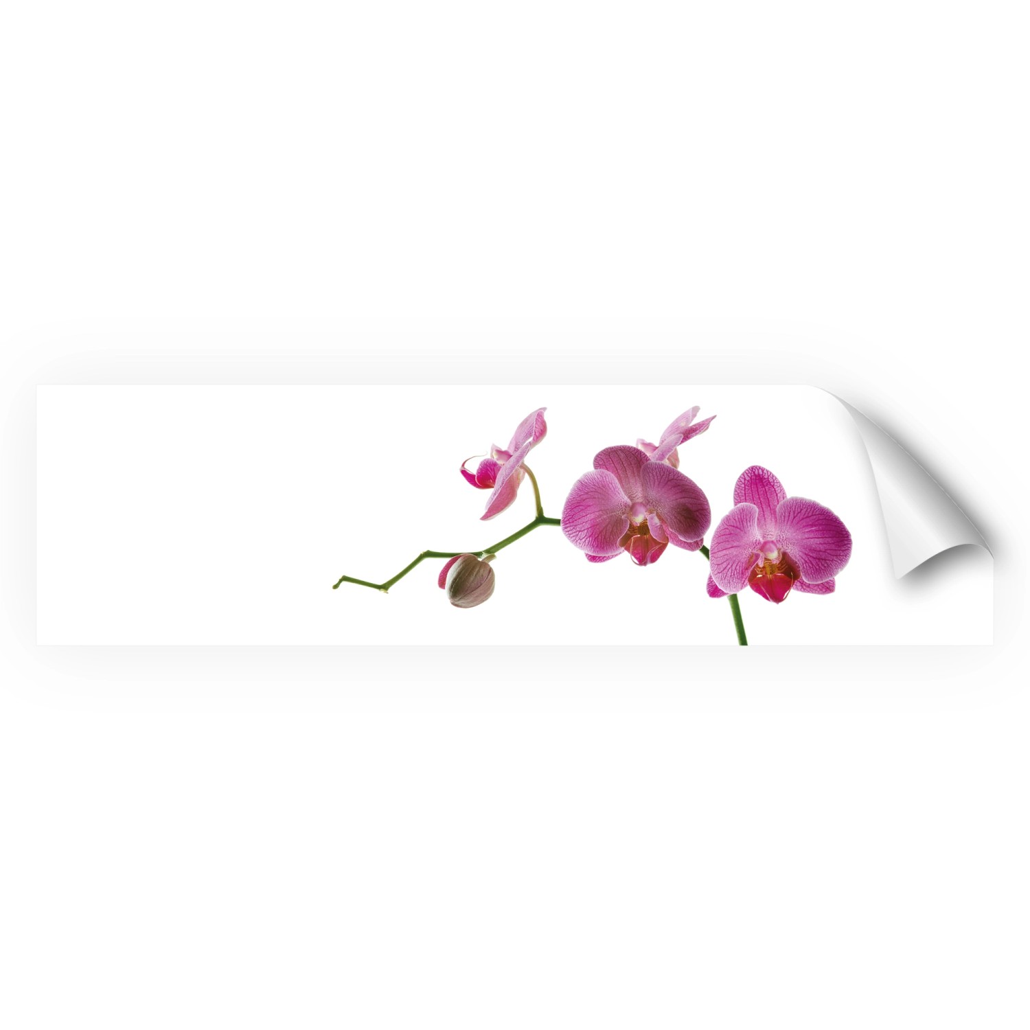 Myspotti Küchenrückwandfolie Orchidee Pink Selbstklebend 220 cm x 60 cm