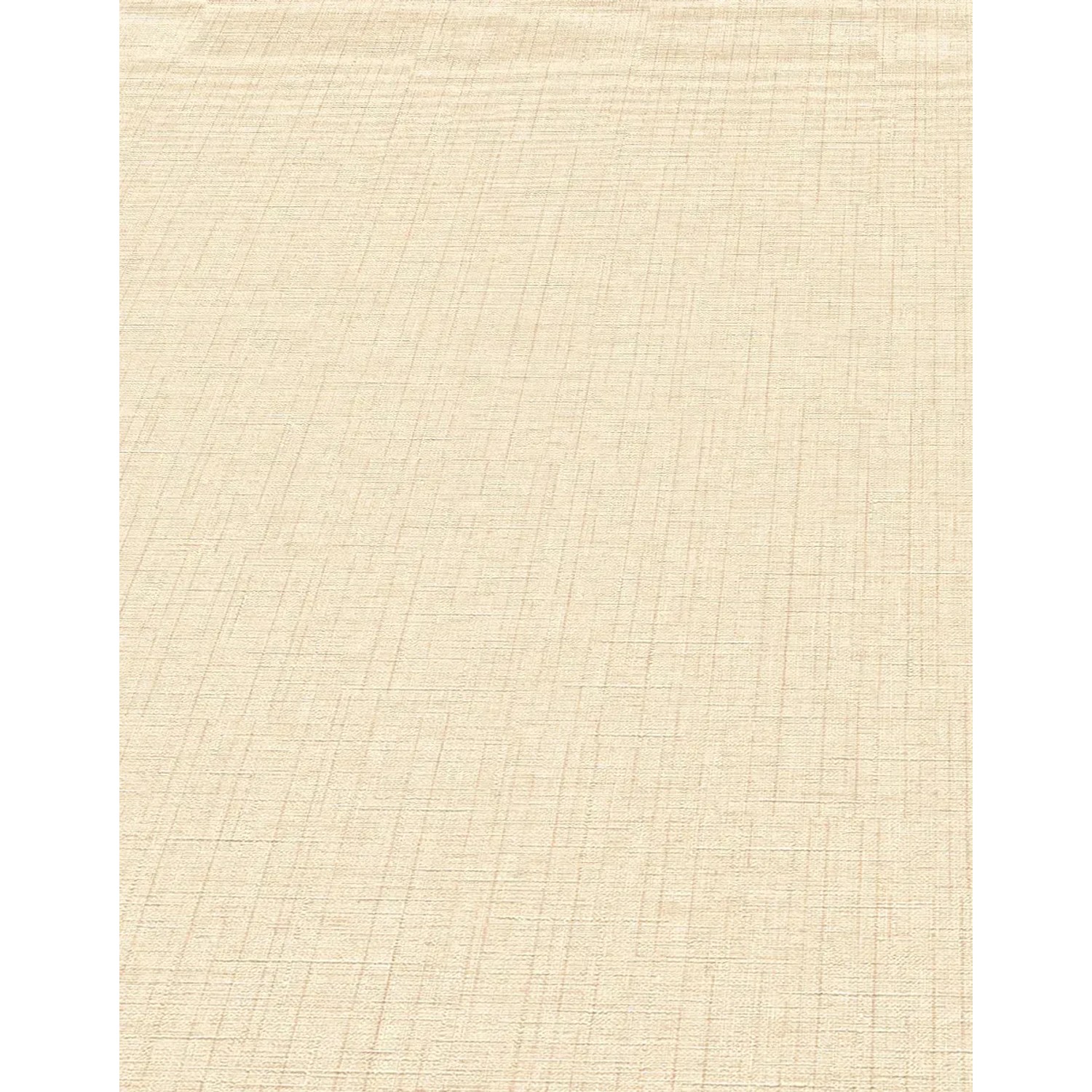 Beige Vliestapete mit feiner Uni-Struktur von Erismann Paradisio 2, Dekorative Tapete.