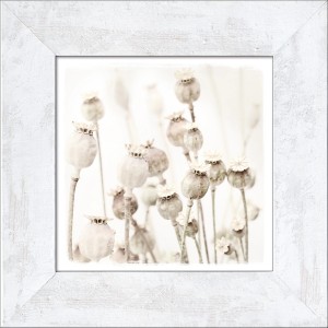 Pro Art Bild 'Dried Poppies', 44x44 cm, mit weißem Rahmen. Mohnblumen Motiv im Scandic-Style.