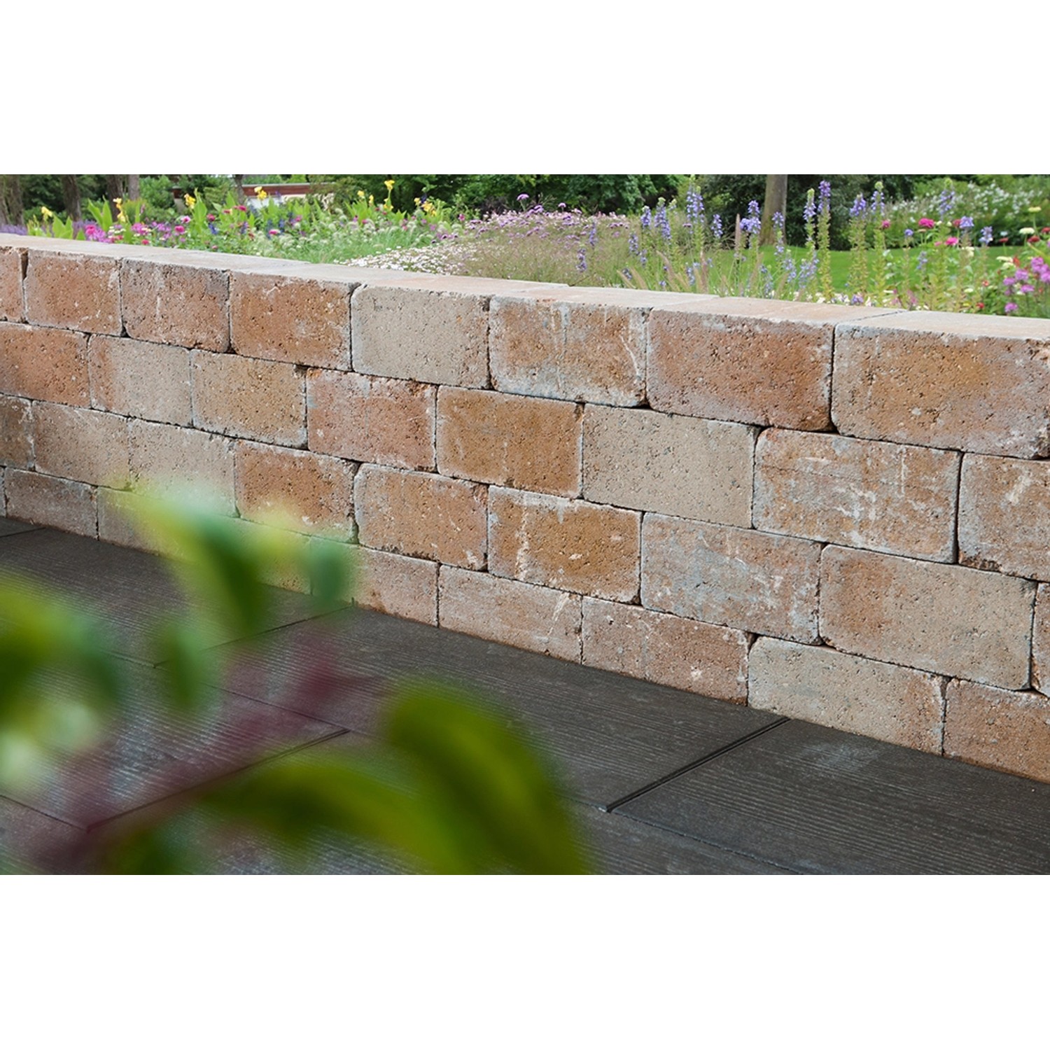 Diephaus Mauerstein Collo Sandstein 42 x 21 x 14 cm