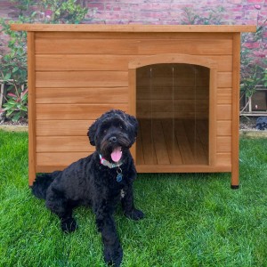 Braune Monstershop Hundehütte aus Tannenholz mit schwarzem Hund davor im Garten.