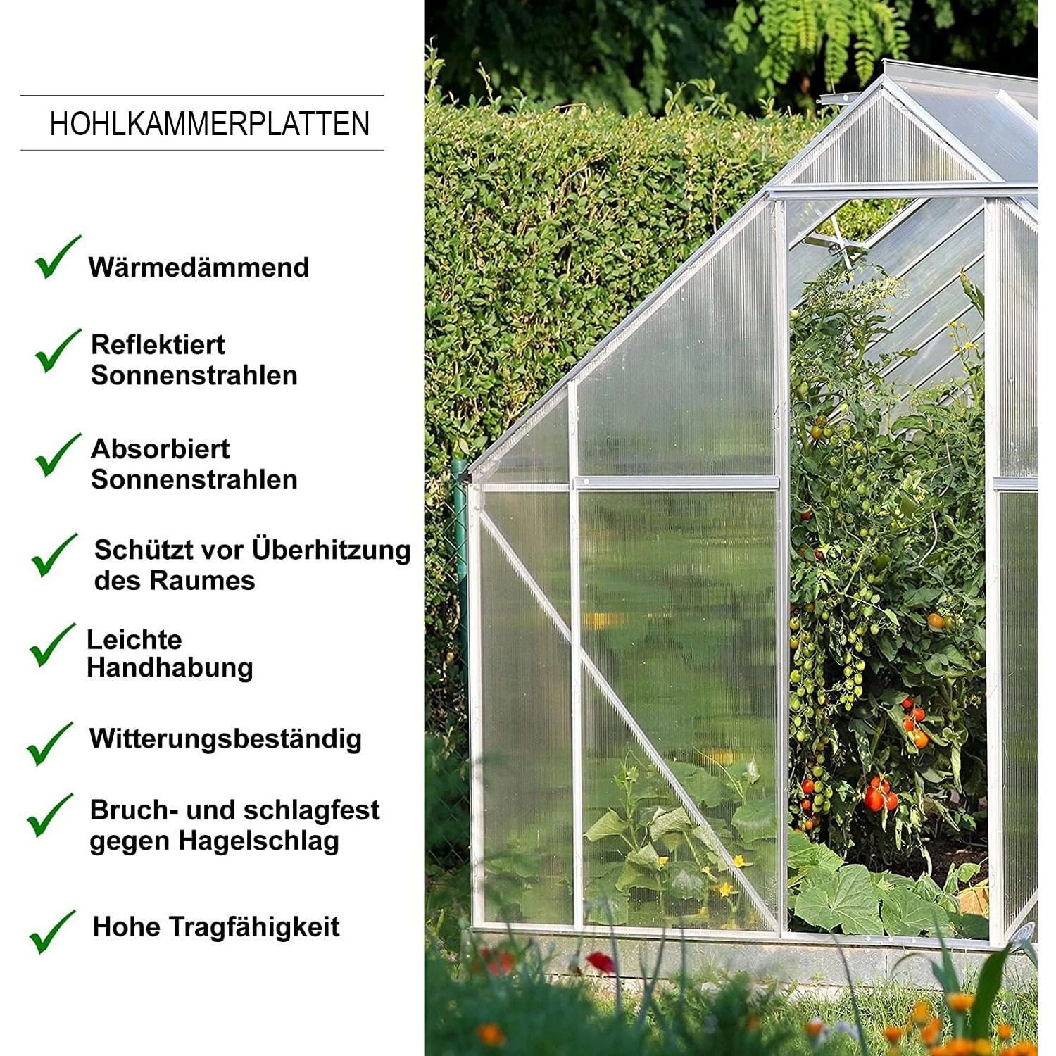 Transparente KARAT Doppelstegplatte (60,5x121cm) aus Polycarbonat für Gewächshaus, 6mm Stärke.