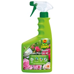 Compo Duaxo Rosen Pilz-frei AF 750ml: Fungizid-Spray für Rosen und Zierpflanzen.